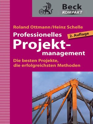 cover image of Professionelles Projektmanagement